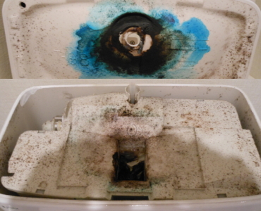 トイレのタンク内クリーニング